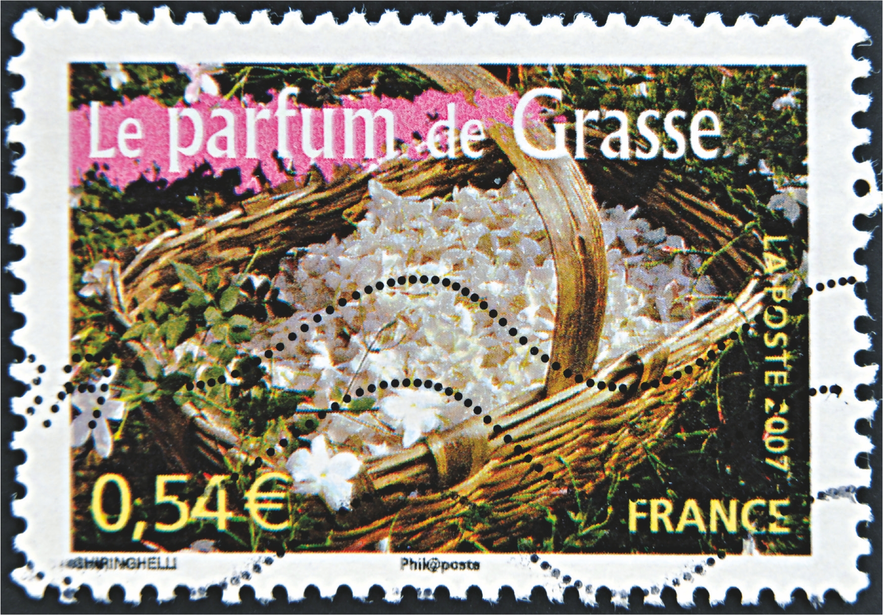 grasse0001 grasse0001