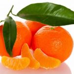 Tangerine and Mandarin Oil